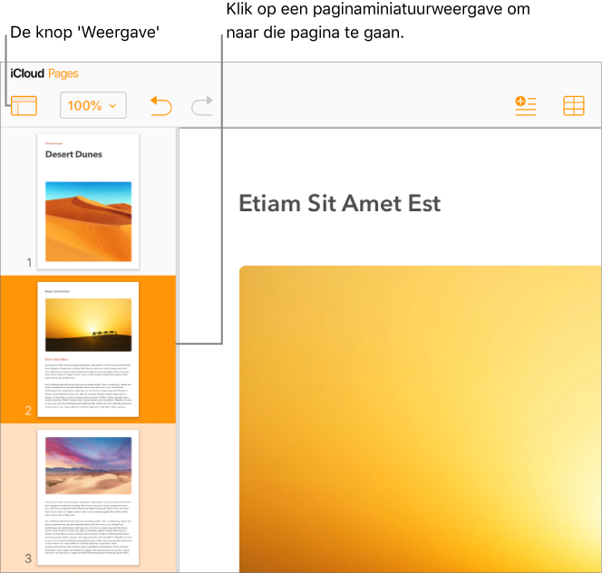 Weergave Paginaminiaturen links op het scherm met een geselecteerde pagina. De knop Weergave staat in de knoppenbalk boven de miniaturen.