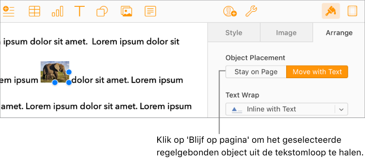 Een regelgebonden afbeelding in de hoofdtekst van een document is geselecteerd, en de knop 'Blijf op pagina' is zichtbaar in het tabblad 'Orden' in de zijbalk.