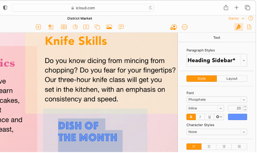 选中了部分文本的文稿。右侧“格式”边栏中显示更改选中文本的字体、颜色、大小和更多属性的选项。