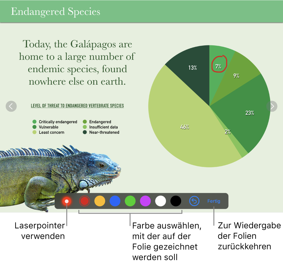 Eine Folie im Illustrationsmodus mit dem Laserpointer und Steuerelementen zur Auswahl der Farbe