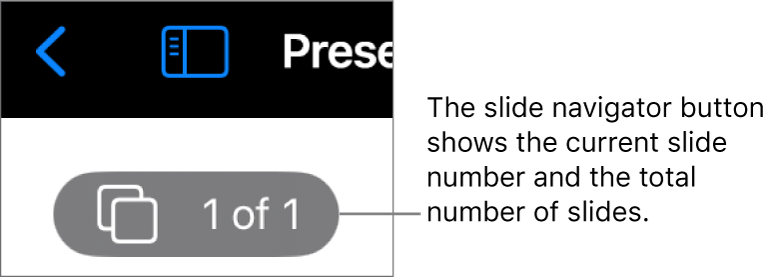 The slide navigator button showing the current slide number and the total number of slides in the presentation.