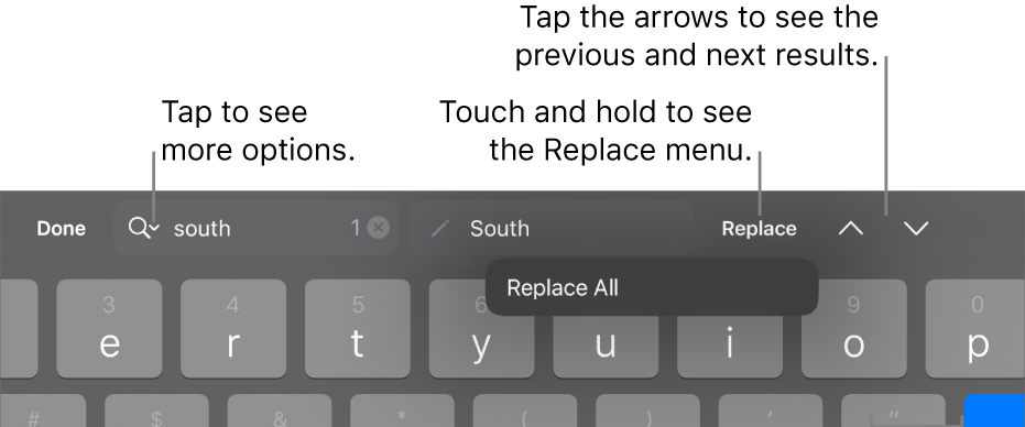 Controls for finding and replacing text.