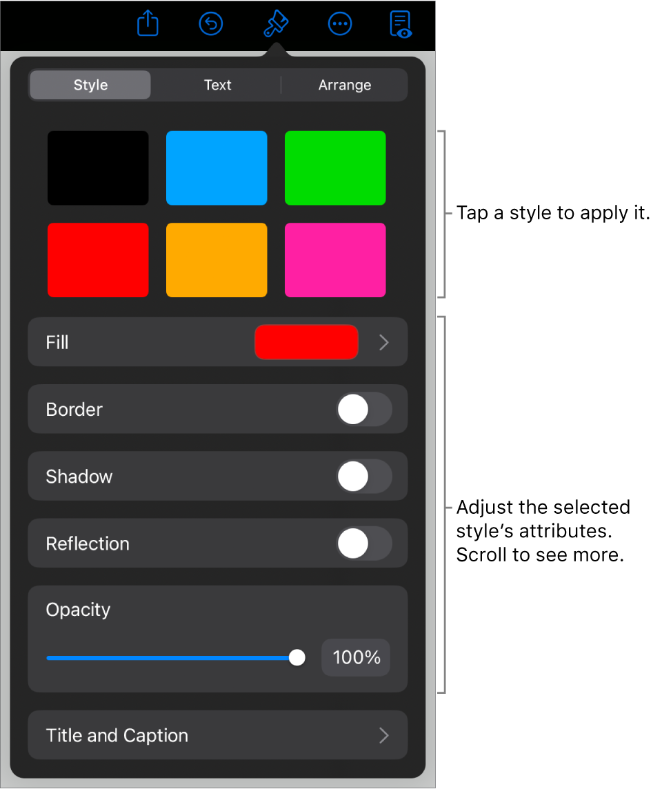 The Style tab of the Format menu with object styles at the top and controls below them to change the border, shadow, reflection and opacity.