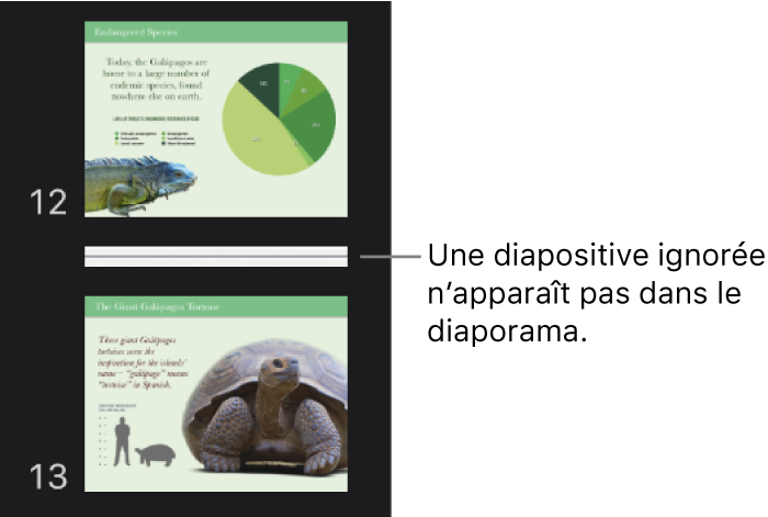 Navigateur de diapositives avec une diapositive ignorée s’affichant sous forme de ligne horizontale.