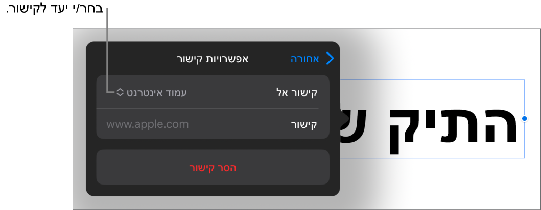 כלי הבקרה של ״אפשרויות קישור״ כאשר האפשרות ״עמוד אינטרנט״ נבחרת ובחלק התחתון מוצג הכפתור ״הסר קישור״.