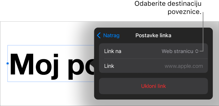 Kontrole Postavke linka s odabranom opcijom Web stranica, tipka Ukloni link nalazi se na dnu.