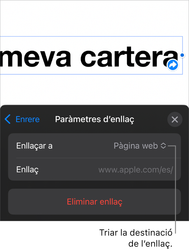 Controls “Paràmetres d’enllaç” amb l’opció “Pàgina web” seleccionada i el botó “Eliminar enllaç” situat a la part inferior.