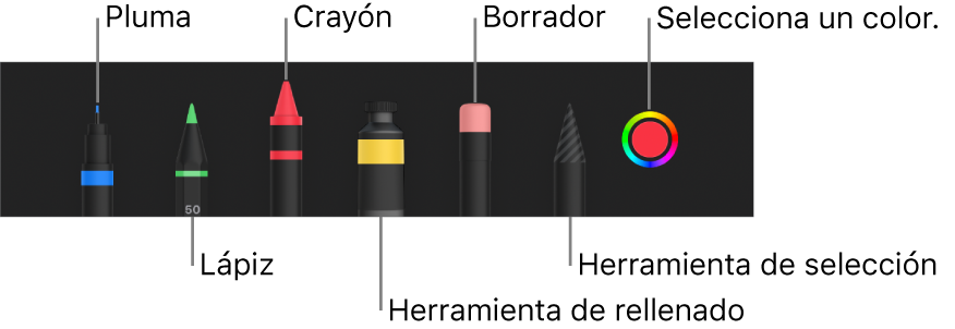 La barra de herramientas de dibujo con bolígrafo, lápiz, crayón, herramienta de rellenado, goma de borrar, herramienta de selección y la paleta de colores mostrando el color actual.