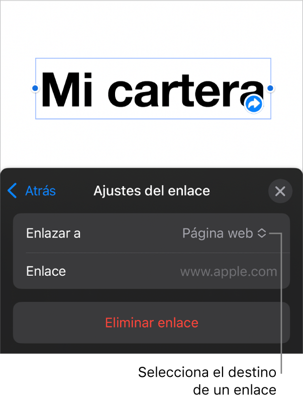 Controles de “Ajustes de enlace” con la opción “Página web” seleccionada y el botón “Eliminar enlace” en la parte inferior.