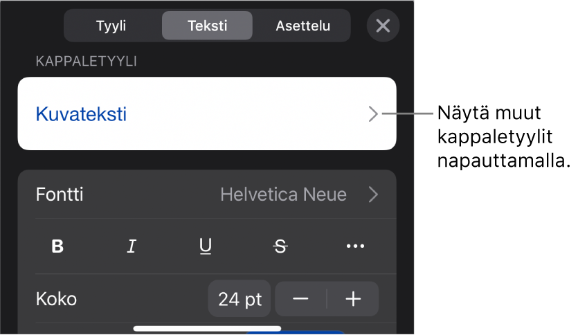 Muoto-valikko, jossa on tekstisäätimet kappale- ja merkkityylien, fontin, koon ja värin valitsemista varten.