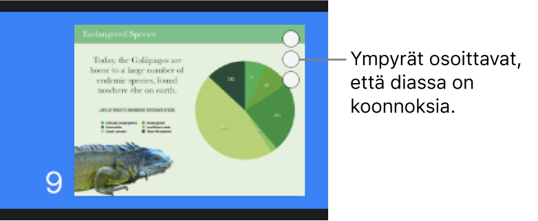 Dia, jonka oikeassa yläkulmassa on kolme ympyrää, jotka osoittavat, että diassa on koonnoksia.