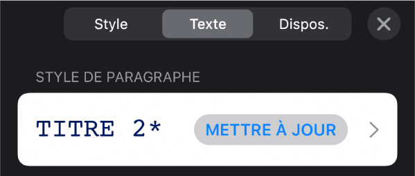 Style de paragraphe avec un astérisque affiché à côté et un bouton Mettre à jour à droite.