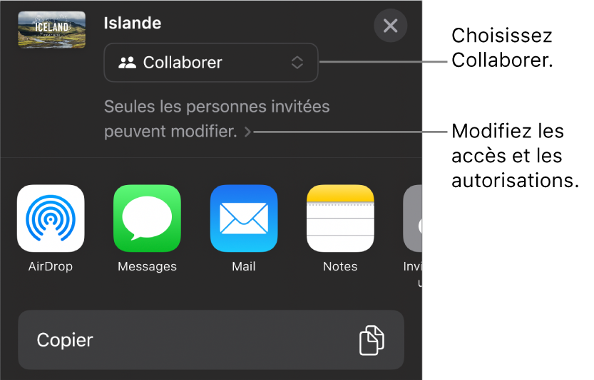 Le menu Partager avec l’option Collaborer sélectionnée en haut, et des réglages d’accès et d’autorisation en dessous.
