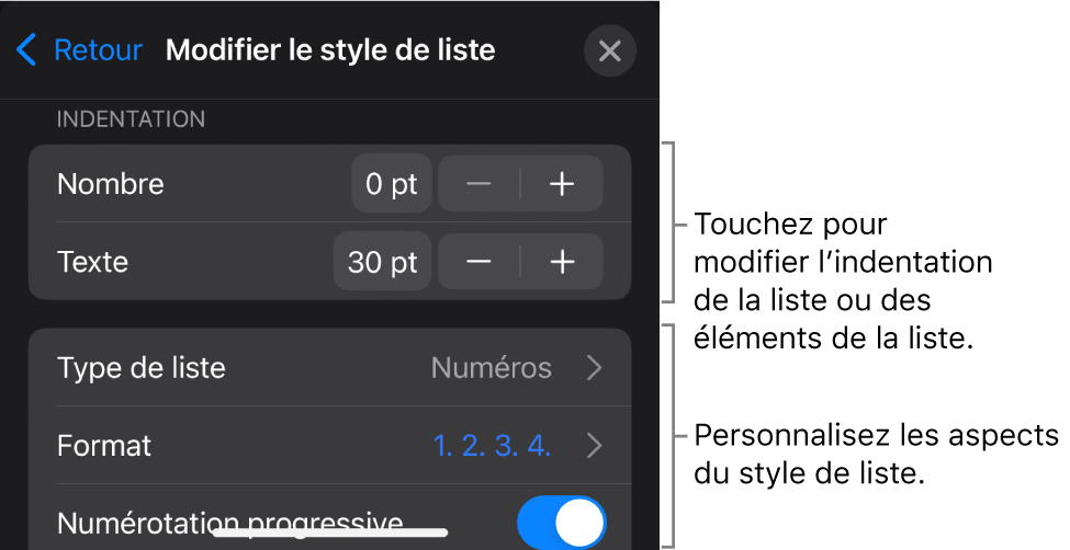 Le menu « Modifier le style de liste » avec des commandes permettant de modifier le type et l’apparence de la liste.