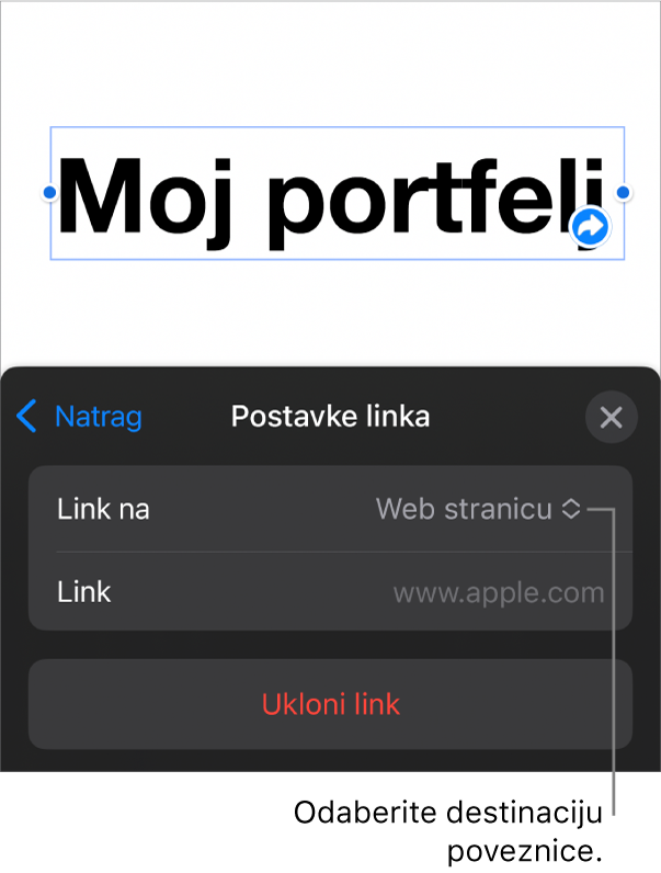 Kontrole Postavke linka s odabranom opcijom Web stranica, tipka Ukloni link nalazi se na dnu.