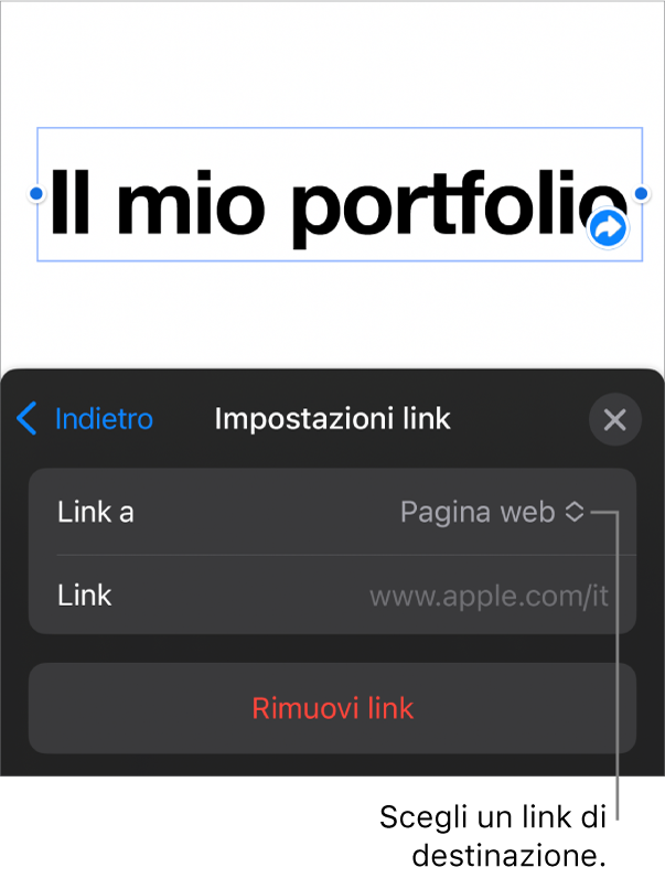 I controlli delle impostazioni dei link con la pagina web selezionata e con il pulsante per rimuovere il link mostrato in basso.