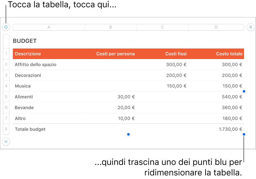 Tabella selezionata con punti blu per il ridimensionamento.