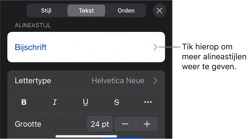 Het opmaakmenu met tekstregelaars voor het instellen van alinea- en tekenstijl, lettertype, lettergrootte en kleur.