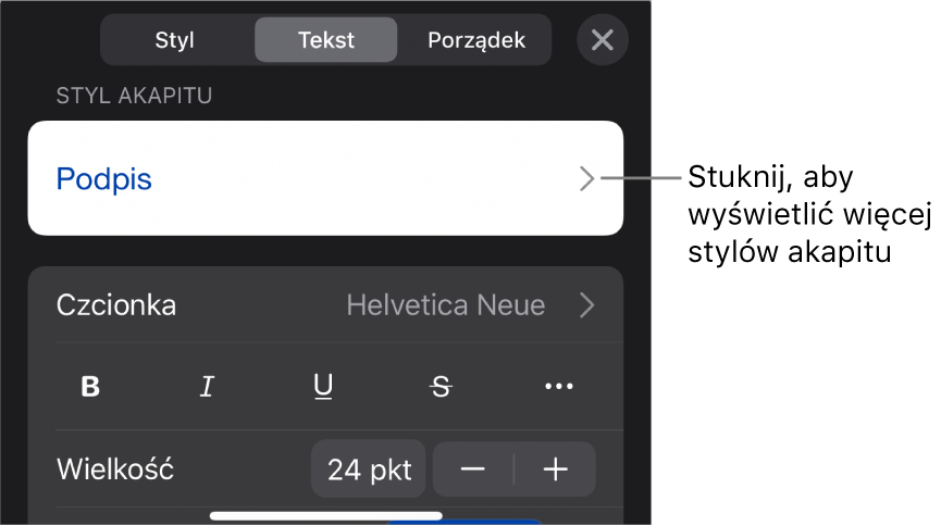 Menu Format z narzędziami tekstu pozwalającymi na ustawianie stylów akapitu, stylów znaków, czcionki, wielkości oraz koloru.