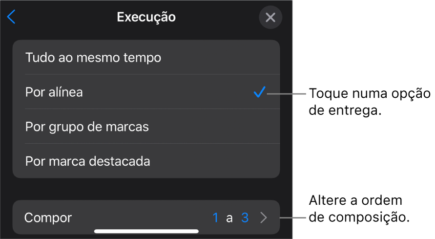 Opções de execução no painel Entrada.