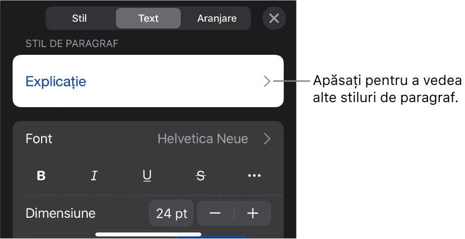 Meniul Format afișând comenzi de text pentru configurarea stilurilor, fonturilor, dimensiunii și culorii paragrafelor și caracterelor.