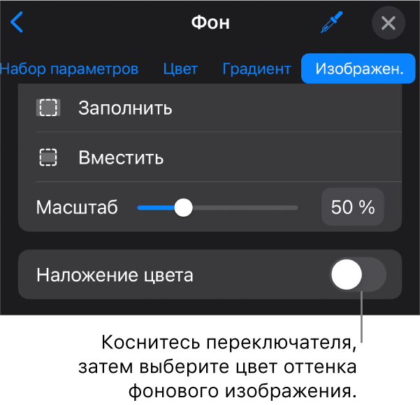 Показаны элементы управления фоном; в качестве фона слайда выбрано изображение, в нижней части расположен элемент управления «Наложение цвета».