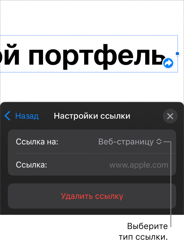 Элементы управления «Настройки ссылки»; выбран элемент «Веб-страница». В нижней части экрана показана кнопка «Удалить ссылку».