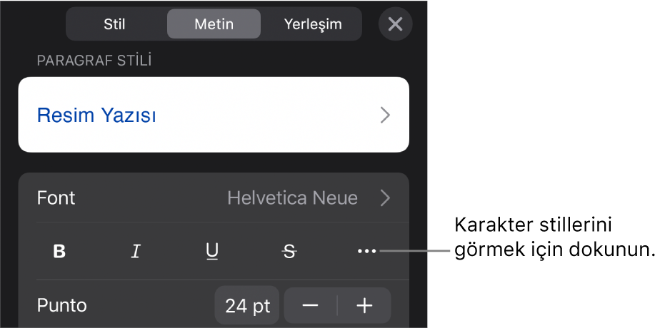 En üstteki paragraf stilleri ile Biçim denetimleri, ardından Font denetimleri. Font’un altında Kalın, İtalik, Altı Çizgili, Üstü Çizgili ve Daha Fazla Metin Seçeneği düğmeleri bulunur.