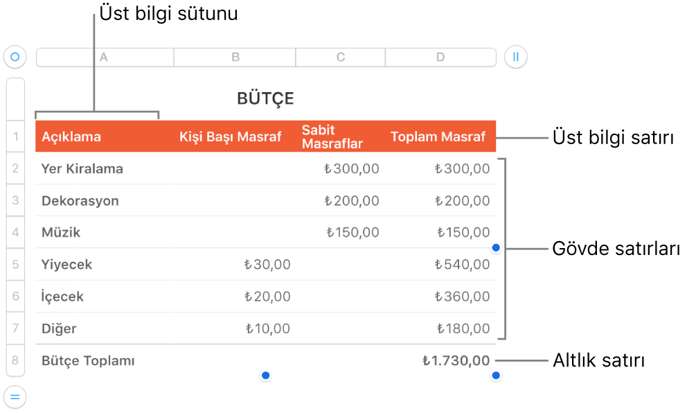 Üst bilgi, gövde ve dipnot satırlarını ve sütunlarını ve satır veya sütun eklemek ya da silmek için tutamakları gösteren bir tablo.