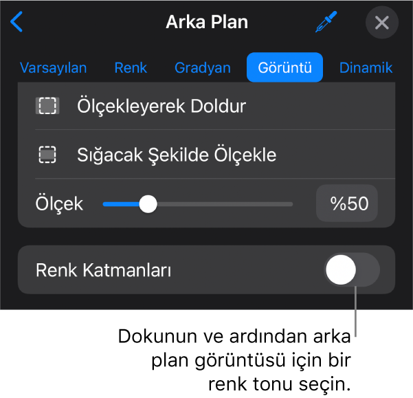 Arka Plan denetimleri, slayt arka planı olarak ayarlanmış bir görüntü ve en alttaki Renk Kaplama ile.