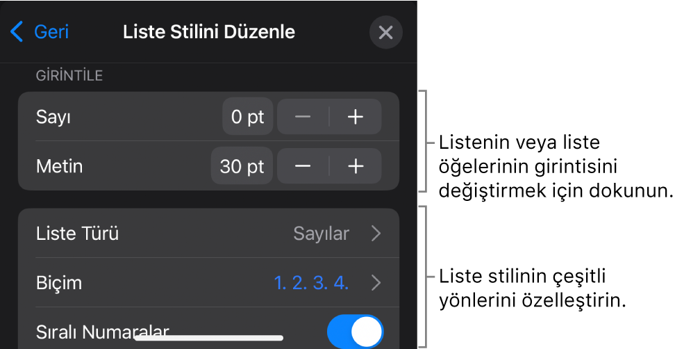 Listenin türünü ve görünüşünü düzenleme denetimleriyle Liste Stilini Düzenle menüsü.