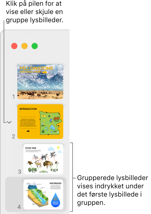 Lysbillednavigatoren, der viser indrykkede lysbilleder.