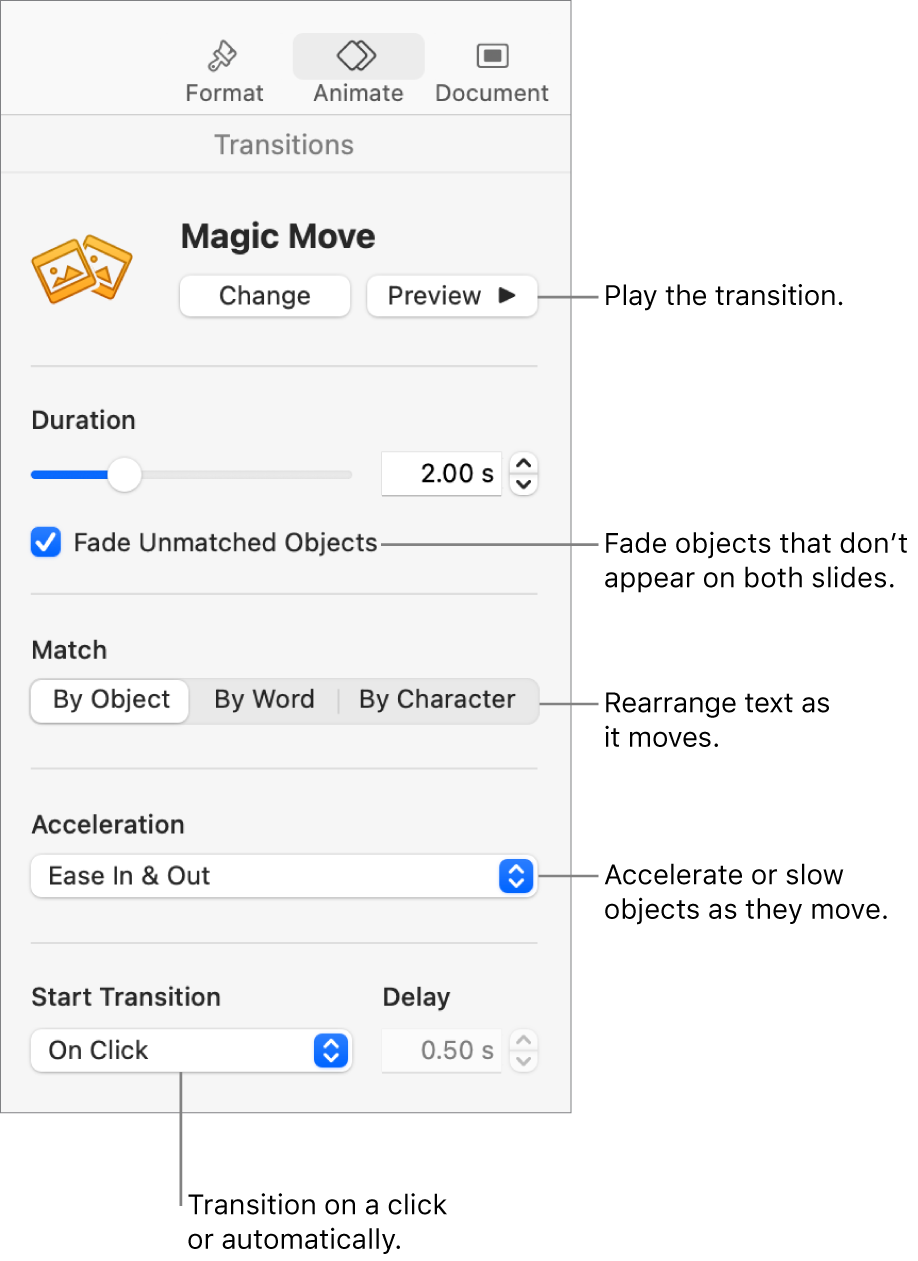 Magic Move transition controls in the Transitions section of the Animate sidebar.