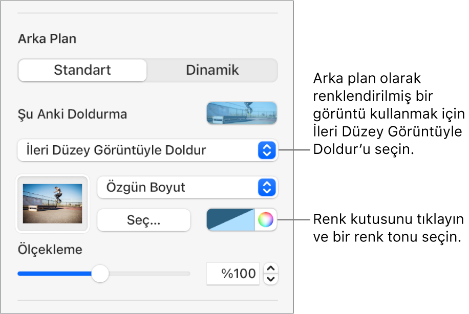 Arka Plan denetimleri, slayt arka planı olarak ayarlanmış renk tonlu bir İleri Düzey Görüntüyle Doldur ile.