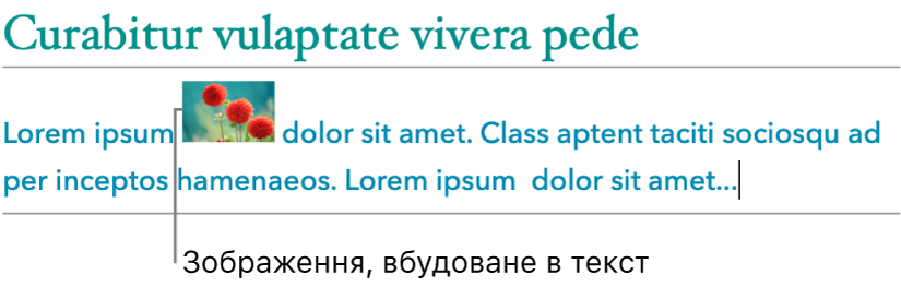 Зображення вбудоване в текст.