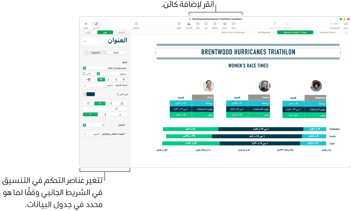 نافذة Numbers وبها علامة التبويب "نص" في الشريط الجانبي "التنسيق" مفتوحة.