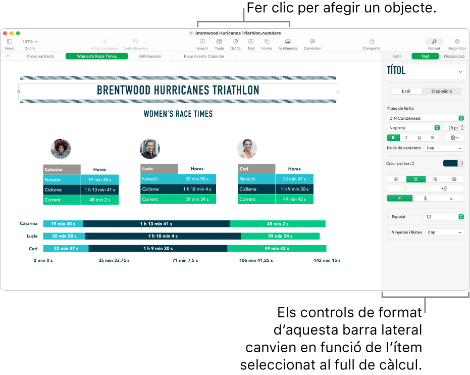 Finestra del Numbers, amb la pestanya Text oberta a la barra lateral Format.