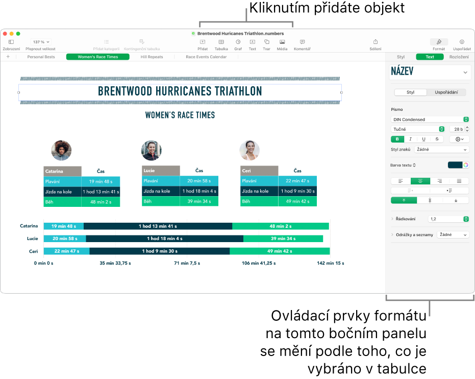 Okno Numbers s otevřeným panelem Text na bočním panelu Formát