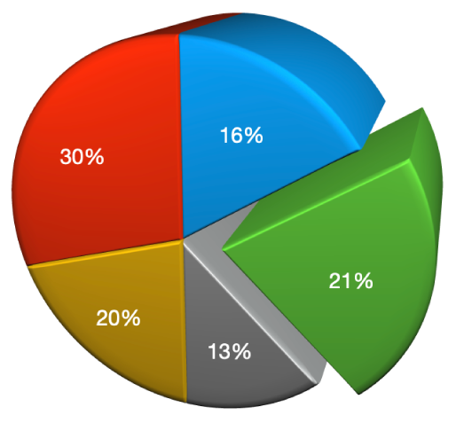 A 3D pie chart with a bevel and increased depth.