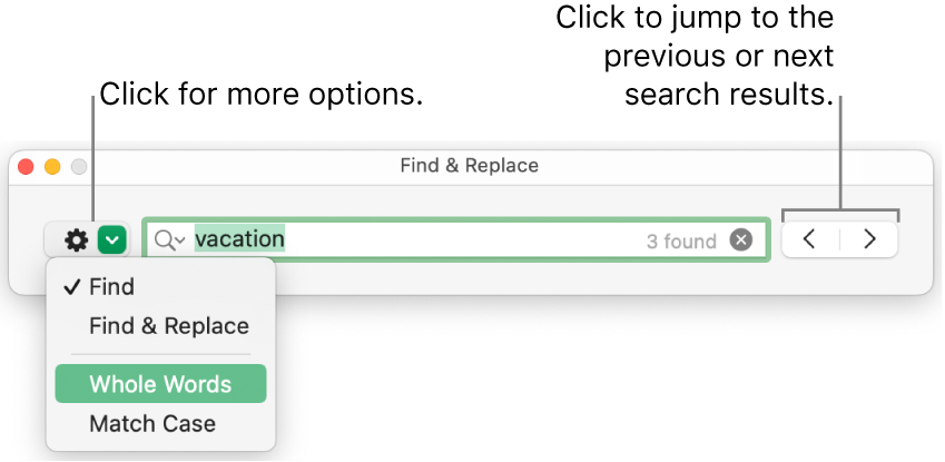 The Find & Replace window with callouts to the button to show options for Find, Find & Replace, Whole Words and Match Case. Arrows on the right let you jump to the previous or next search results.