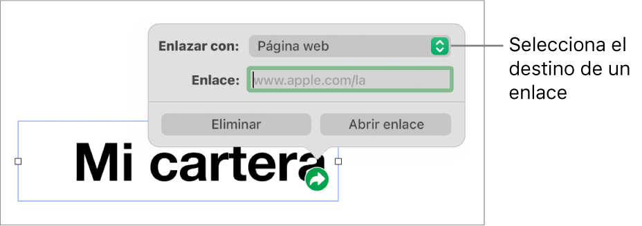 Los controles del editor de enlaces con la opción Página Web seleccionada, con el botón Eliminar y el botón Abrir enlace en la parte de abajo.