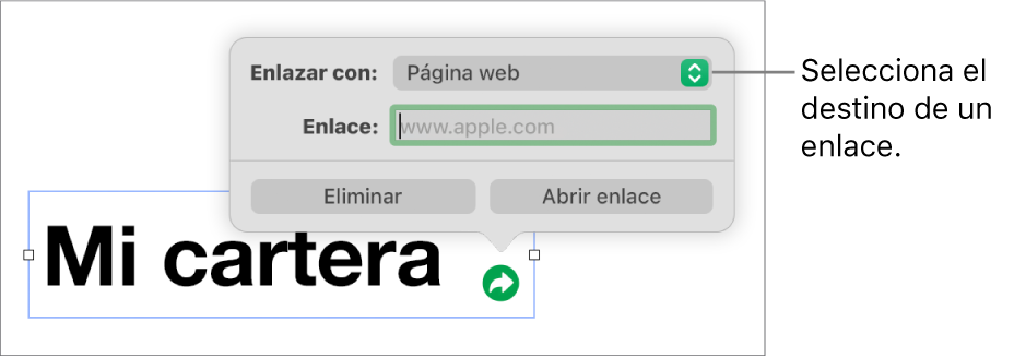 Controles del editor de enlaces con la opción “Página web” seleccionada y los botones Eliminar y “Abrir enlace” en la parte inferior.