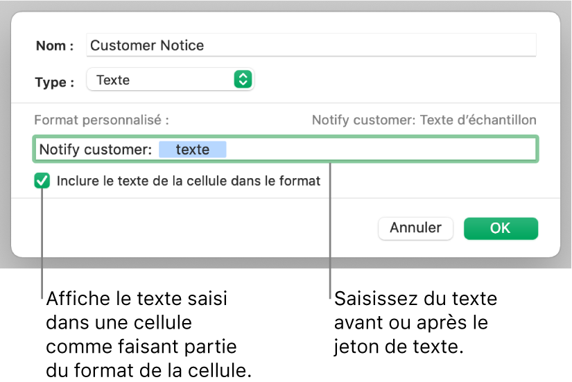 Format de cellule texte personnalisé.