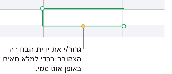 תא נבחר עם ידית צהובה שניתן לגרור כדי למלא תאים באופן אוטומטי.