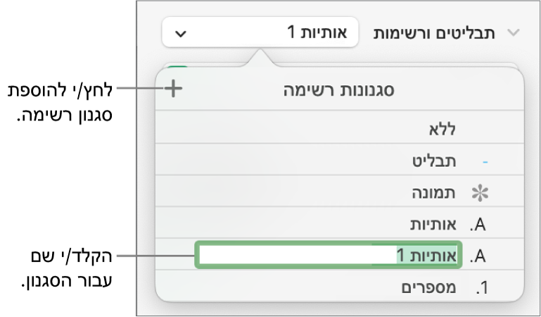 התפריט הקופצני ״סגנונות רשימה״ עם כפתור ״הוסף״ בפינה הימנית העליונה ושם של סגנון מציין מיקום כאשר המלל שלו נבחר.