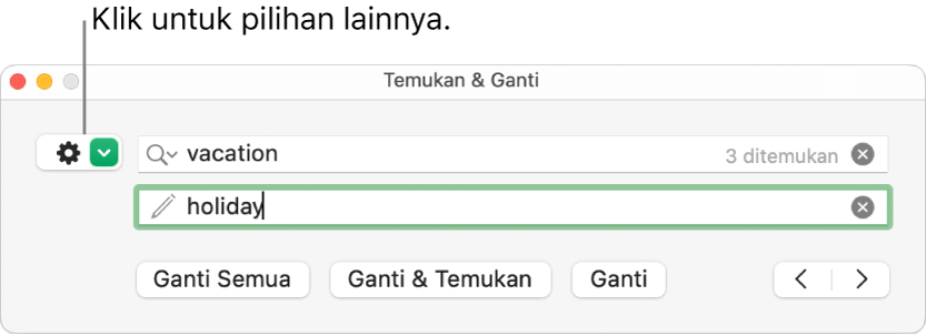 Jendela Temukan & Ganti dengan keterangan pada tombol untuk menampilkan pilihan lainnya.