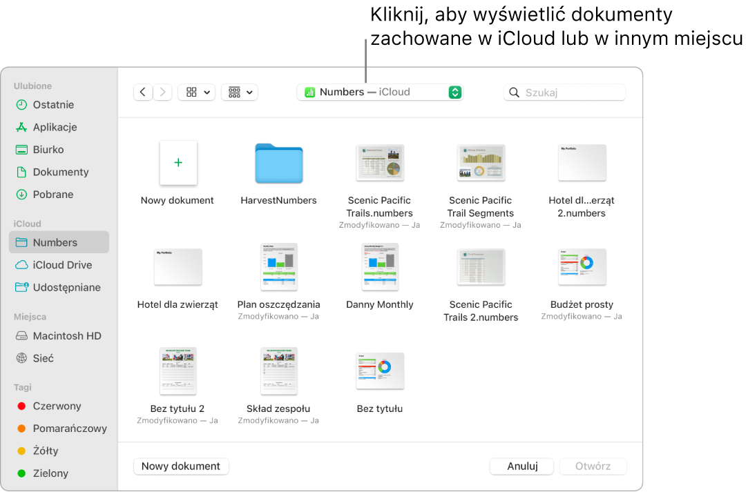 Okno dialogowe Otwórz z paskiem bocznym widocznym po lewej. W menu podręcznym znajdującym się na górze wybrana jest opcja iCloud Drive. W oknie dialogowym widoczne są foldery Keynote, Numbers i Pages, a także przycisk Nowy dokument.