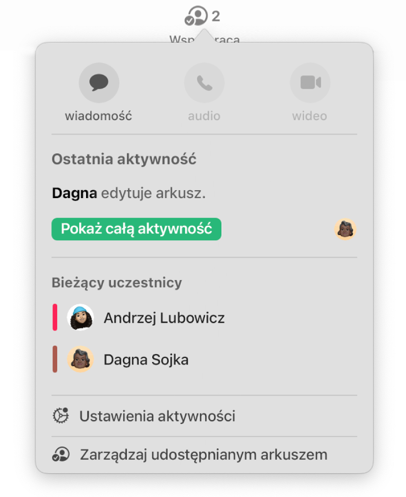 Menu współpracy zawierające nazwiska osób wspólnie pracujących nad arkuszem kalkulacyjnym. Poniżej widoczne są opcje udostępniania.