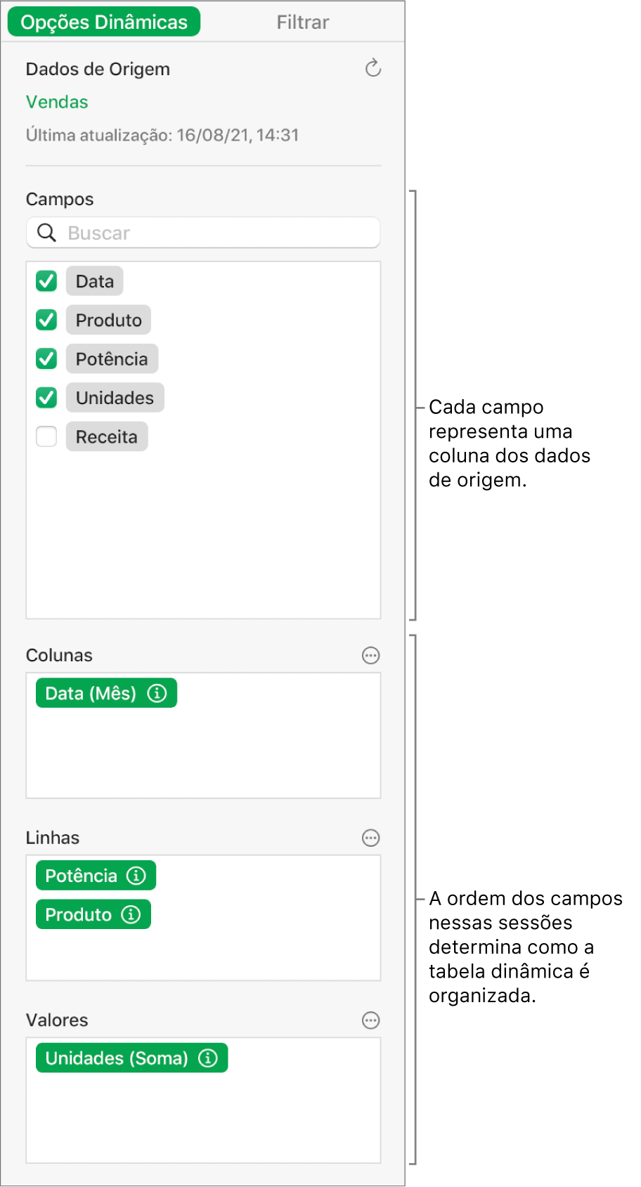 A aba Opções Dinâmicas na barra lateral Organizar, mostrando campos das seções Colunas, Linhas e Valores, bem como controles para editar os campos e atualizar a tabela dinâmica.
