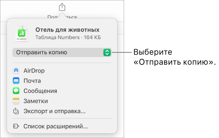 В верхней части меню «Поделиться» выбран параметр «Отправить копию».